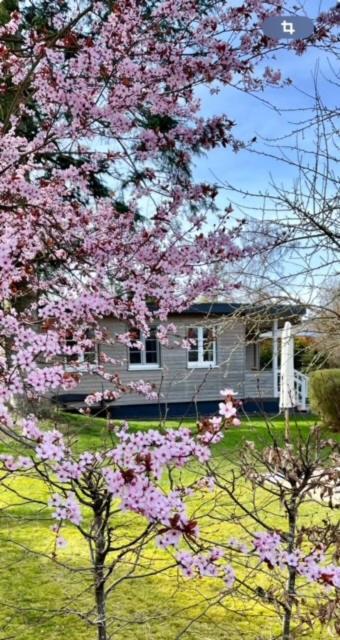 Scheid  Ferienhaus Meine Insel מראה חיצוני תמונה